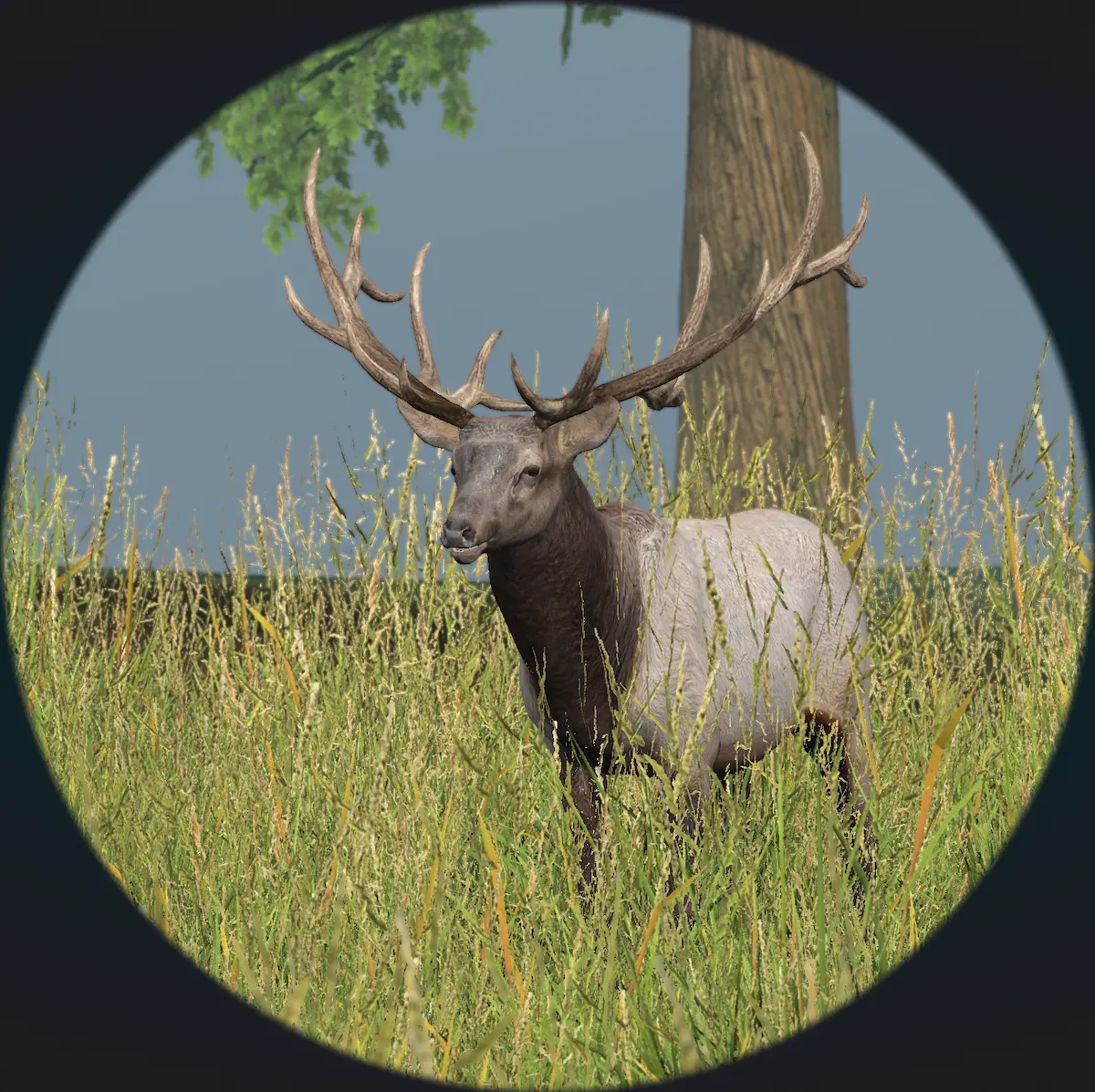 Blick durch ein Fernglas auf einen Hirsch — Zoomulate Simulation